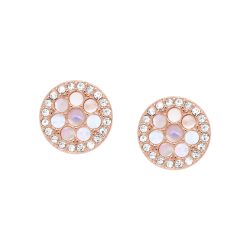 Fossil JF02906-791 Kadın Küpe