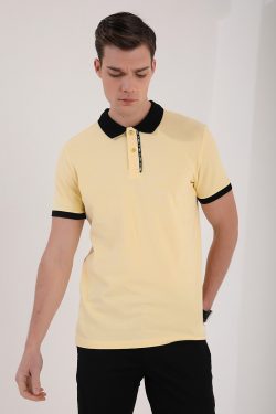 Sarı Basic Çift Düğmeli Standart Kalıp Polo Yaka Erkek T-Shirt – 87944
