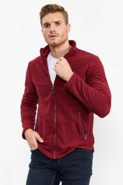 Erguvan Dik Yaka Fermuarlı Standart Kalıp Erkek Polar – 87993