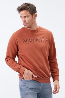 Tarçın Yazı Nakışlı O Yaka Rahat Form Erkek Sweatshirt – 88020