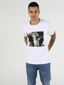 Regular Fit Bisiklet Yaka Örme Erkek Beyaz Kısa Kol Tişört