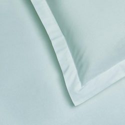 Taç Basic Ranforce Queen Size Kişilik Çarşaf Mint Mint