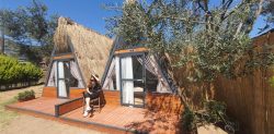 Concept Bungalow