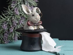 Madame Coco Biblo – Tavşan