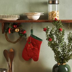 Emsan New Year Fırın Eldiveni