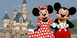 Paris – Disneyland Turu Türk Havayolları ile 4 Gece 5 Gün Yaz Dönemi 1 (CDG-CDG) TZ001