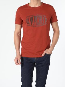 Regular Fit Bisiklet Yaka Örme Erkek Kısa Kol Tişört