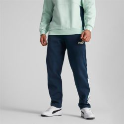 Puma – 769487_06 – PUMA Manchester CITY F.C. FTBLARCHIVE Erkek Eşofman Altı